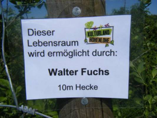 Walterfu